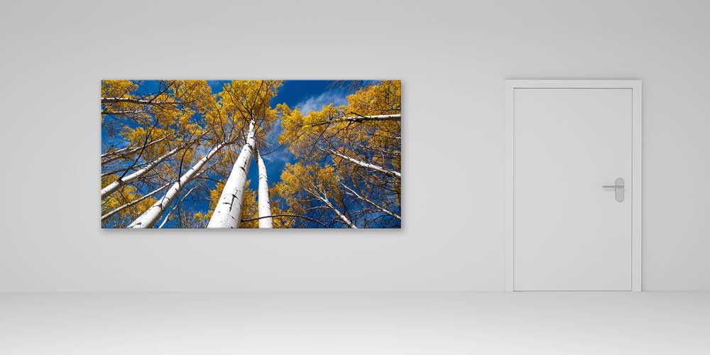 Aspen Ormanları Sonbahar Perspektifi Büyük Ebat Duvar Dekor Ürünü 14138