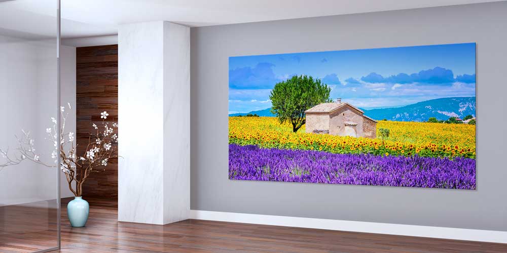 Lavanta ve Ayçiçeği Tarlası Kırsal Ev Panoramik Büyük Ebat Duvar Dekoru 14204