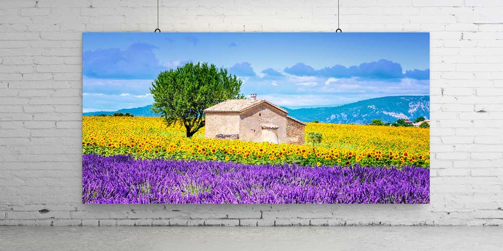 Lavanta ve Ayçiçeği Tarlası Kırsal Ev Panoramik Büyük Ebat Duvar Dekoru 14204