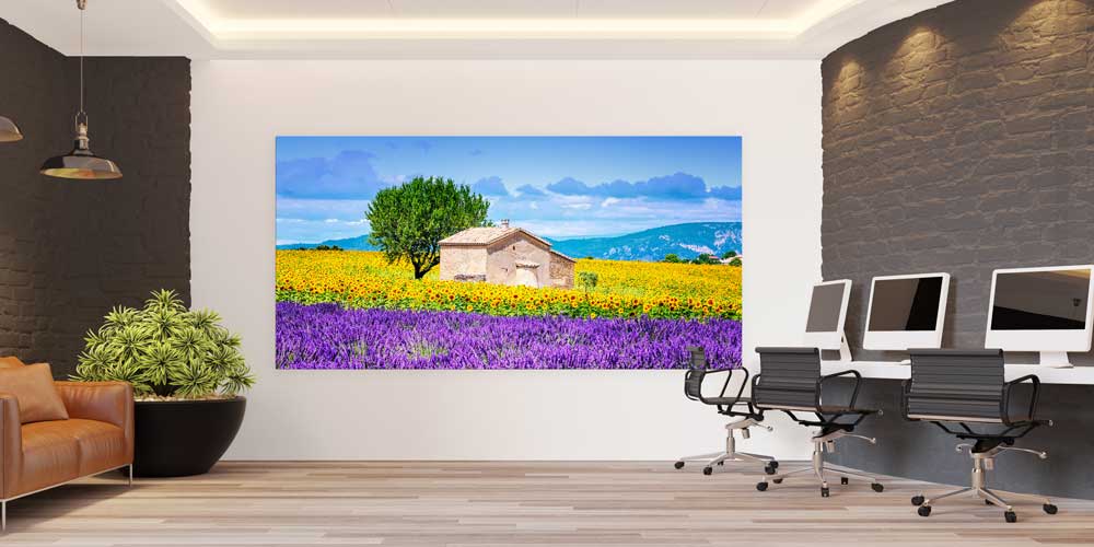 Lavanta ve Ayçiçeği Tarlası Kırsal Ev Panoramik Büyük Ebat Duvar Dekoru 14204