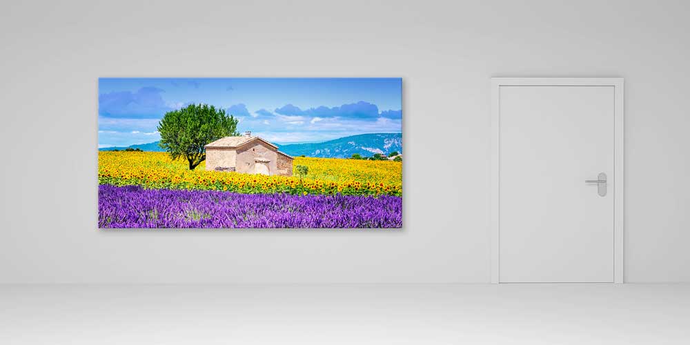 Lavanta ve Ayçiçeği Tarlası Kırsal Ev Panoramik Büyük Ebat Duvar Dekoru 14204