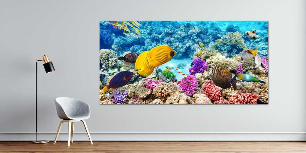 Büyük Ebat Tropik Mercan Resifi ve Renkli Balıklar Duvar Dekoru 14035