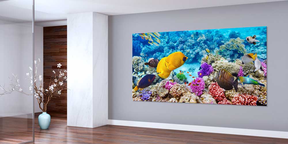 Büyük Ebat Tropik Mercan Resifi ve Renkli Balıklar Duvar Dekoru 14035