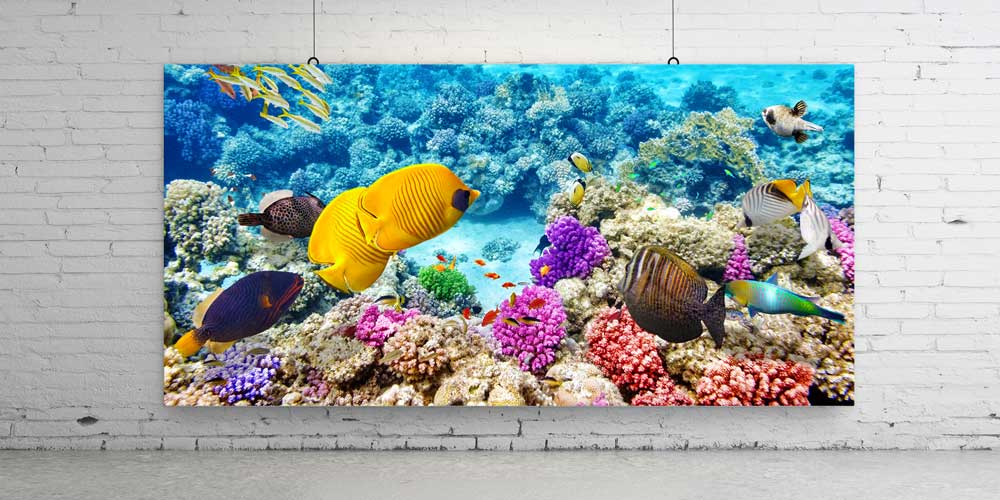 Büyük Ebat Tropik Mercan Resifi ve Renkli Balıklar Duvar Dekoru 14035