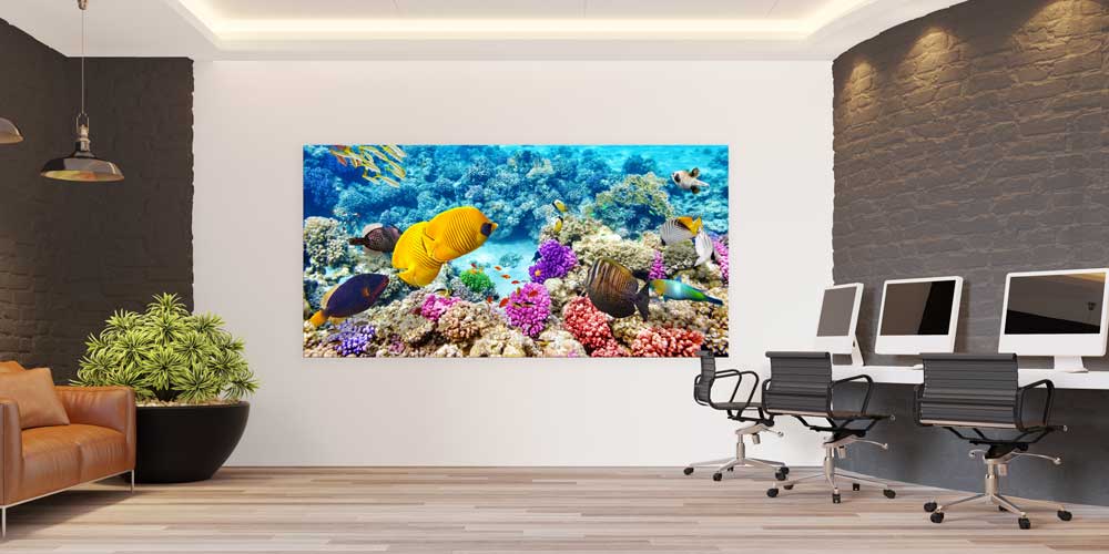 Büyük Ebat Tropik Mercan Resifi ve Renkli Balıklar Duvar Dekoru 14035