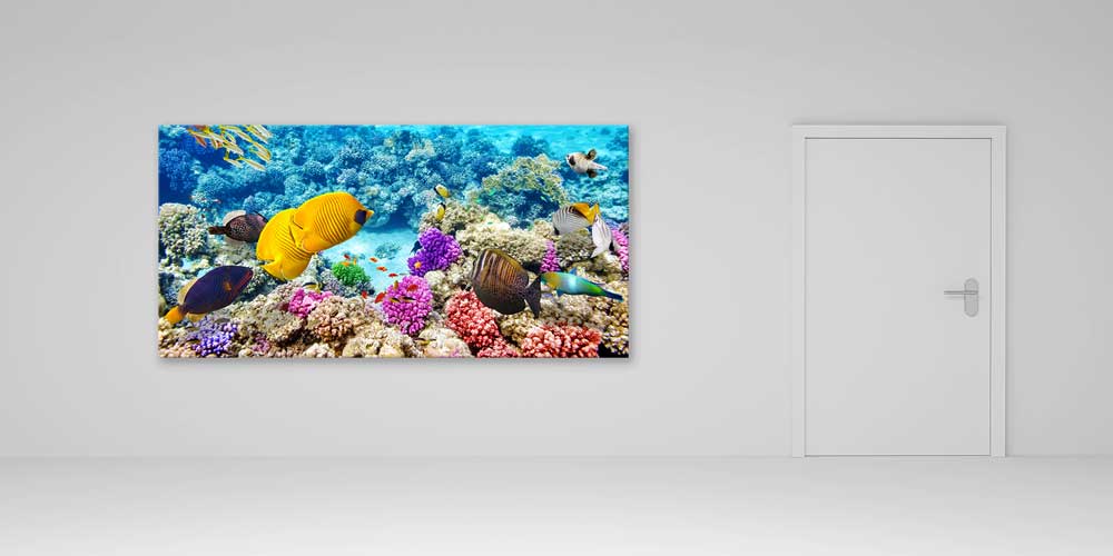Büyük Ebat Tropik Mercan Resifi ve Renkli Balıklar Duvar Dekoru 14035