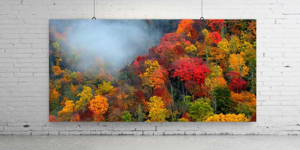 Sisli Sonbahar Ormanı Manzarası Büyük Ebat Duvar Dekor Ürünü 14188