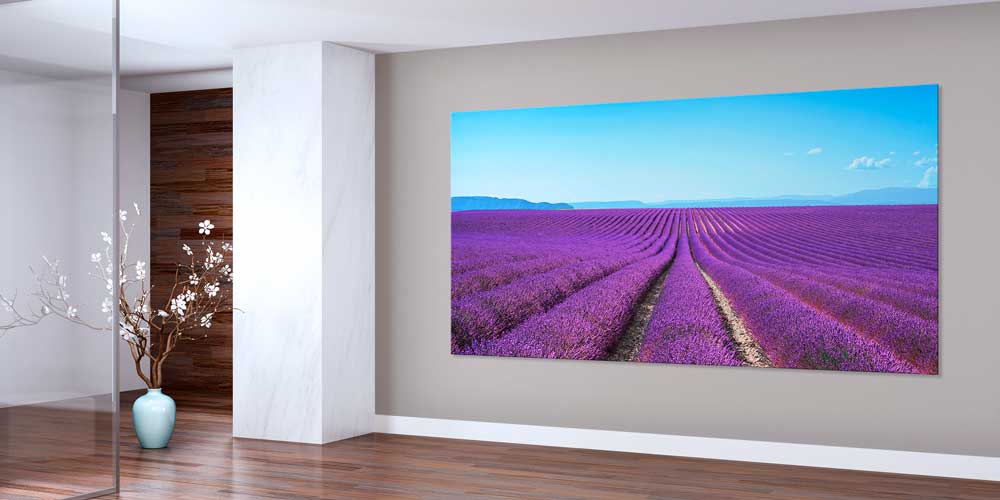 Lavanta Tarlası Panoramik Manzara Büyük Ebat Duvar Dekoru 14200