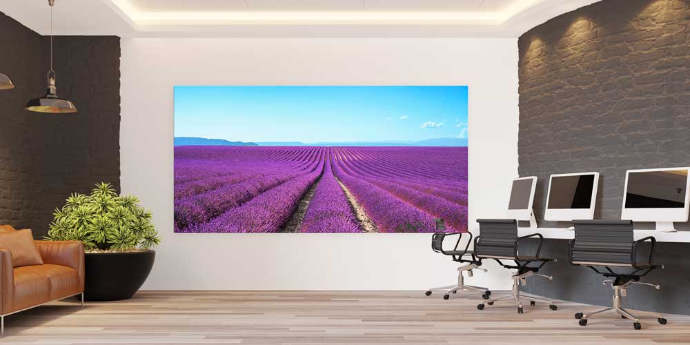 Lavanta Tarlası Panoramik Manzara Büyük Ebat Duvar Dekoru 14200