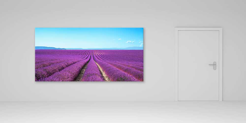 Lavanta Tarlası Panoramik Manzara Büyük Ebat Duvar Dekoru 14200