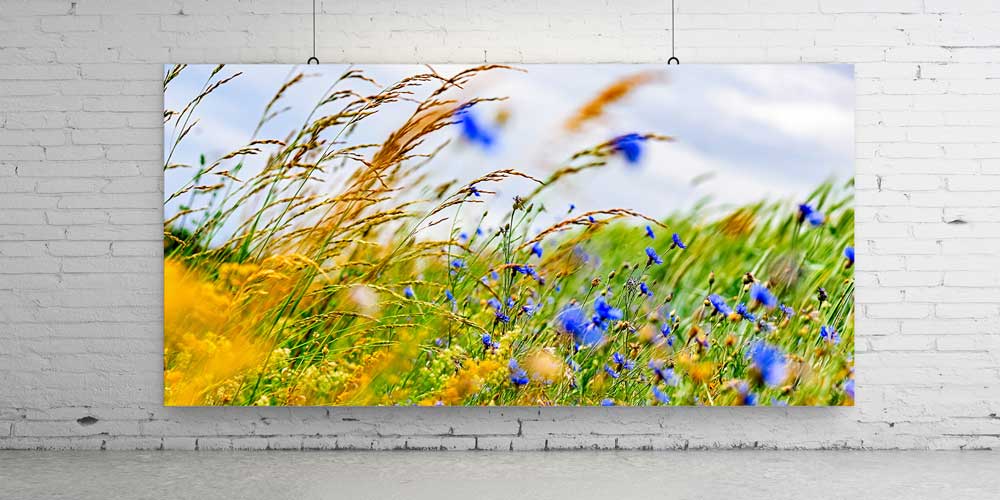 Rüzgârda Sallanan Çiçekler Büyük Ebat Duvar Dekoru 14237