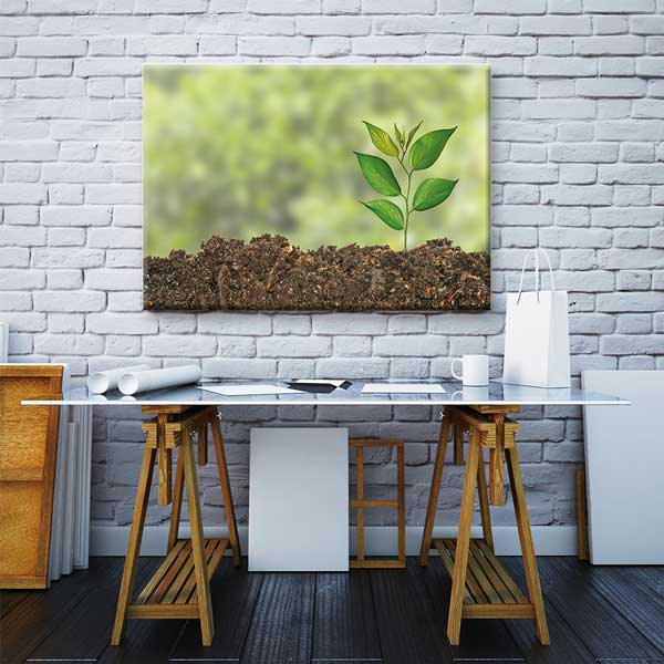 Filizlenen Fide ve Toprak Posteri - Biyoloji ve Doğa Temalı Sınıf Dekoru G-470