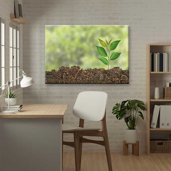Filizlenen Fide ve Toprak Posteri - Biyoloji ve Doğa Temalı Sınıf Dekoru G-470