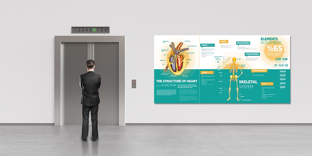 İnsan Vücudu Biyoloji Posteri - Kalp ve İskelet Sistemi 4027