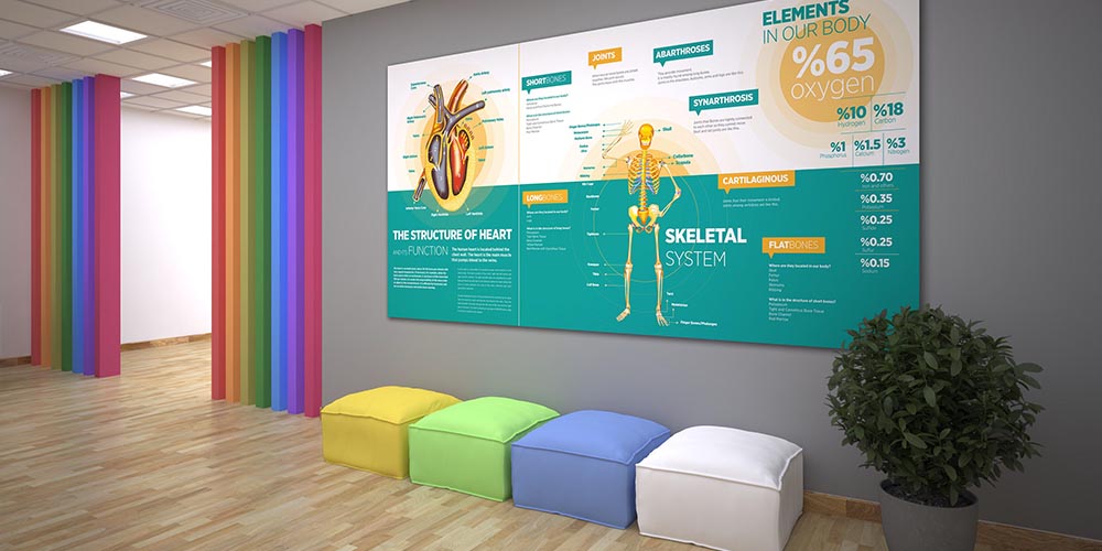 İnsan Vücudu Biyoloji Posteri - Kalp ve İskelet Sistemi 4027