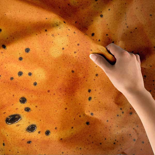 Köpüklü Kahve Yüzeyi Desenli Duvar Örtüsü 12531