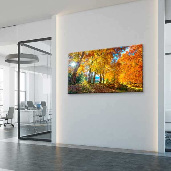 Sonbahar Işığı Altında Orman Yolu Kanvas Tablo – 13722