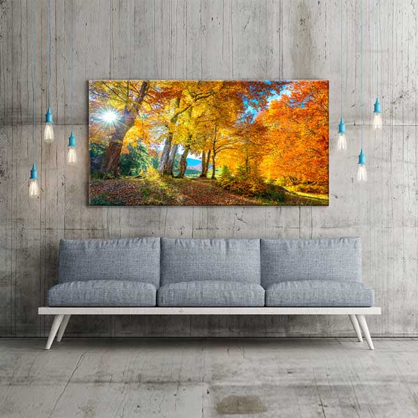 Sonbahar Işığı Altında Orman Yolu Kanvas Tablo – 13722
