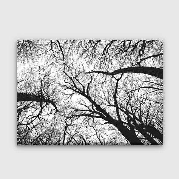 Siyah Beyaz Ağaç Dalları Perspektif Kanvas Tablo 2193