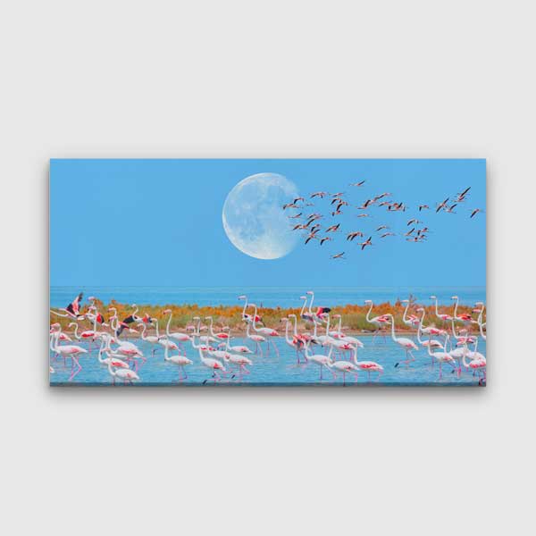 Ay Işığında Flamingolar Doğa Manzarası Kanvas Tablo 12043