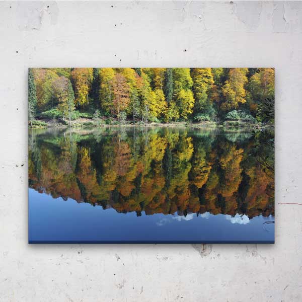 Sonbahar Ormanı ve Göl Yansıması Doğa Kanvas Tablo 12107