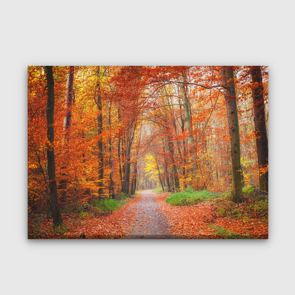 Sonbahar Orman Yolu Kanvas Tablo 13451