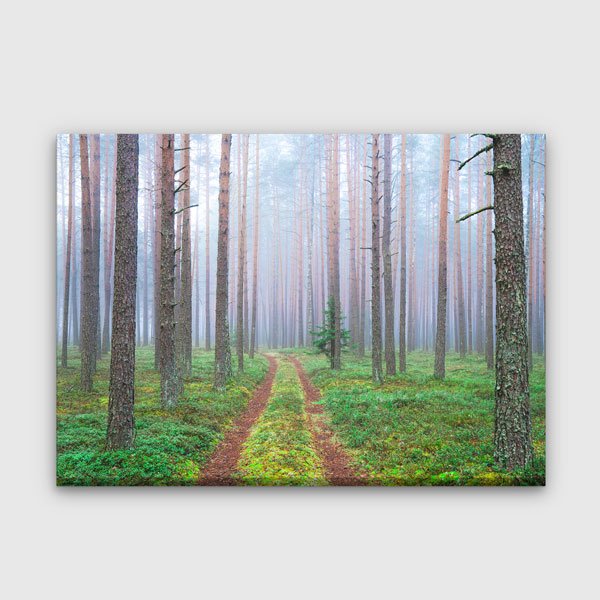 canvas-wall-art-13538-00 Sisli Orman Yolu Manzara Kanvas Tablo 13538
