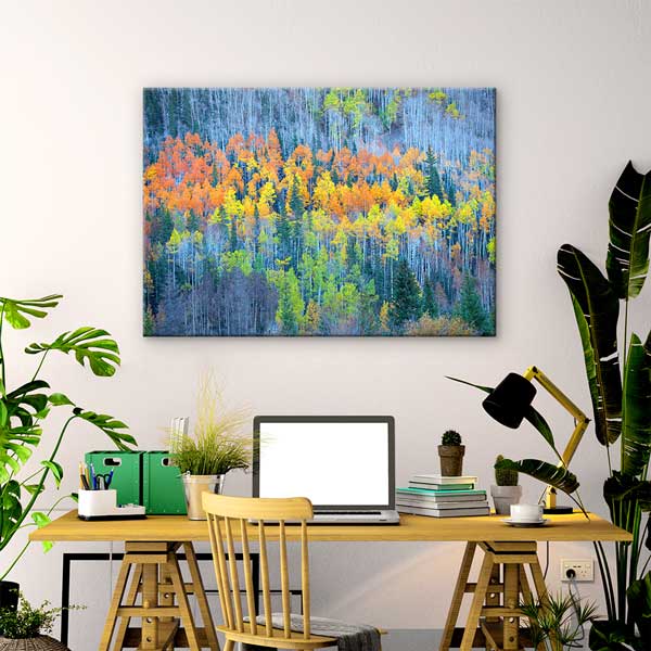 Renkli Sonbahar Huş Ormanı Manzarası Kanvas Tablo 13591