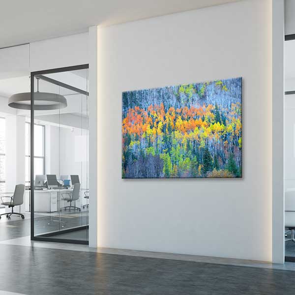 Renkli Sonbahar Huş Ormanı Manzarası Kanvas Tablo 13591