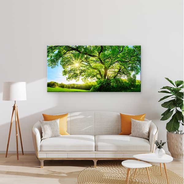 Güneşli Büyük Yeşil Ağaç Kanvas Tablo – 13751