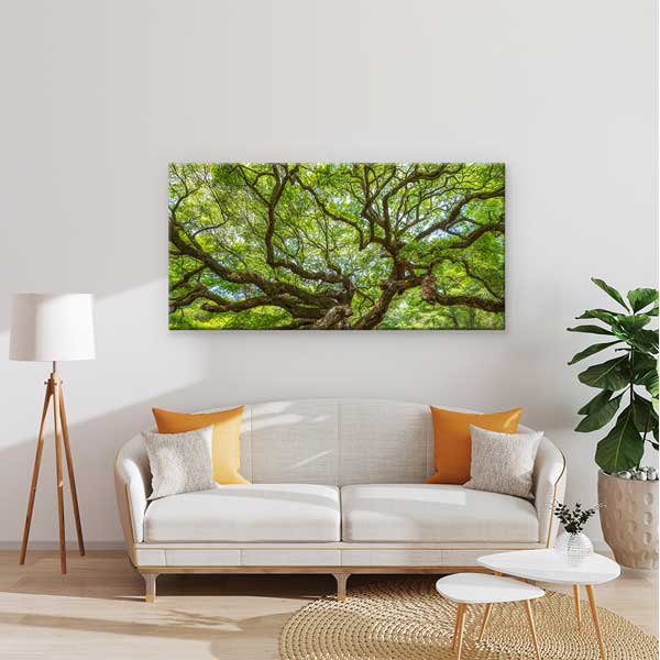Geniş Dallı Yeşil Ağaç Doğa Manzarası Duvar Tablosu – 13762