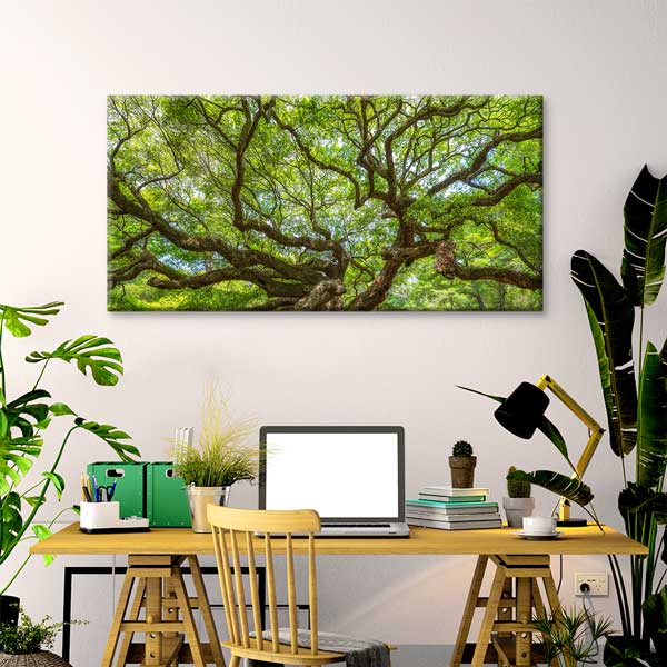 Geniş Dallı Yeşil Ağaç Doğa Manzarası Duvar Tablosu – 13762