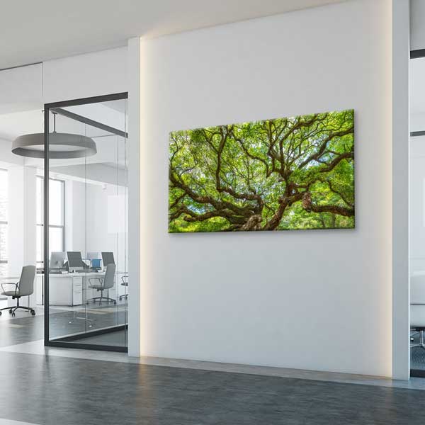 Geniş Dallı Yeşil Ağaç Doğa Manzarası Duvar Tablosu – 13762