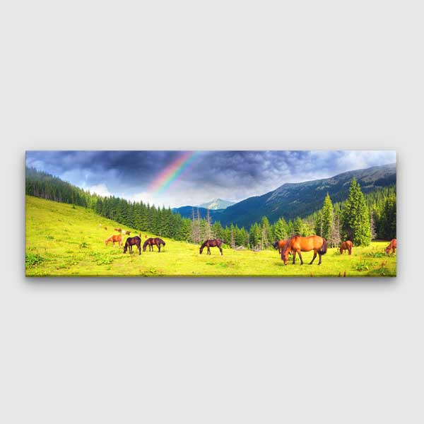 Gökkuşağı ve Atlar Dağ Manzarası Panoramik Kanvas Tablo 13782