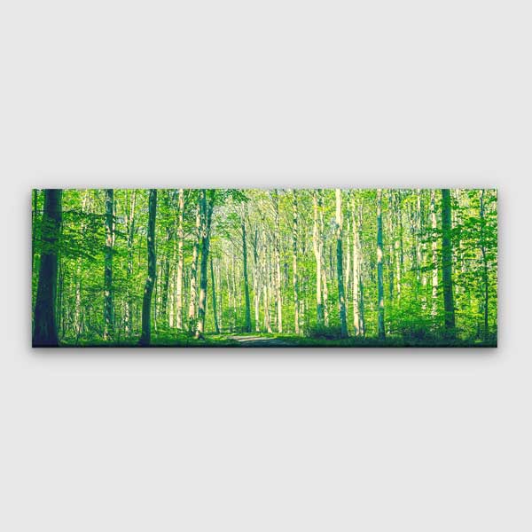 Işıl Işıl Yeşil Orman Manzaralı Kanvas Tablo 13803