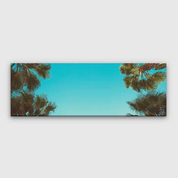 Turkuaz Gökyüzü ve Palmiye Yaprakları Minimal Tropikal Duvar Tablosu 13824