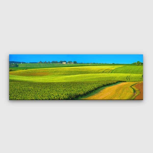 canvas-wall-art-13878-00 Yeşil Tarlalar ve Açık Gökyüzü Manzara Kanvas Tablo 13878