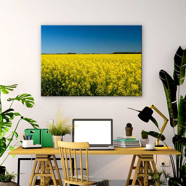 Sarı Kanola Tarlası Kanvas Tablo 13291