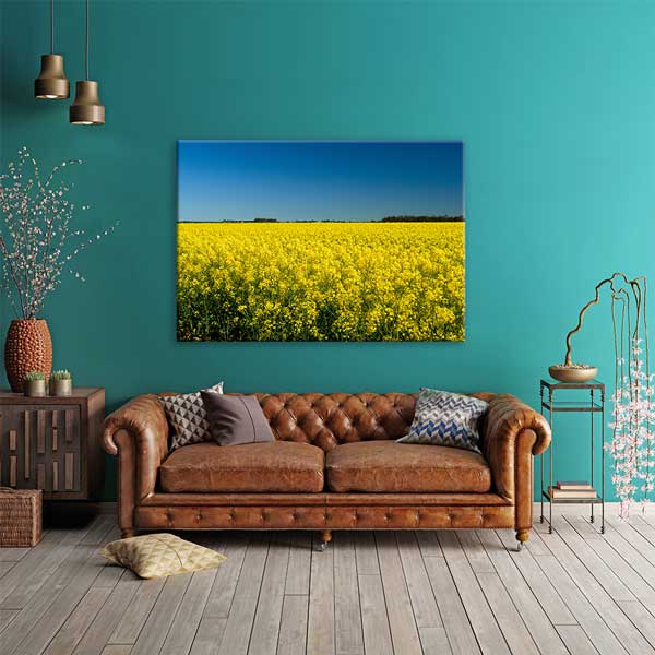 Sarı Kanola Tarlası Kanvas Tablo 13291