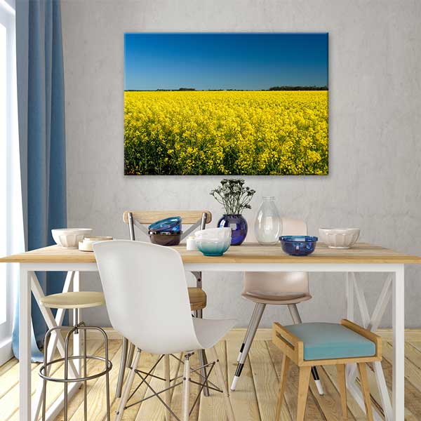 Sarı Kanola Tarlası Kanvas Tablo 13291