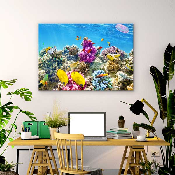 Mercan Resifi ve Tropikal Balıklar Kanvas Tablo – Deniz Altı Manzara Fotoğraf Sanatı 13324