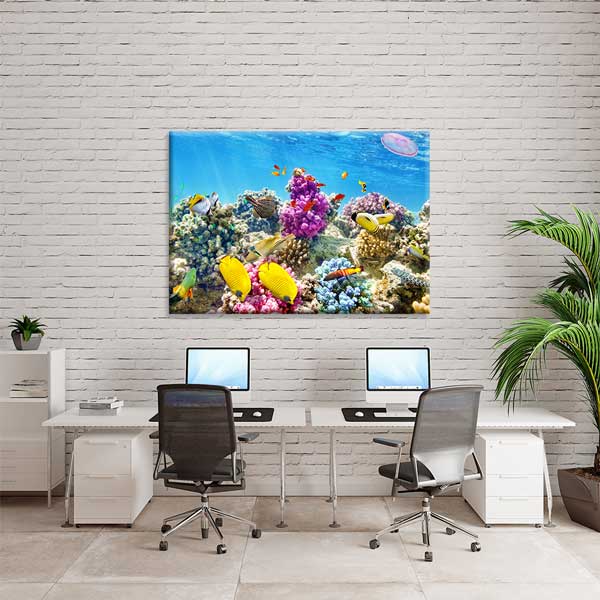 Mercan Resifi ve Tropikal Balıklar Kanvas Tablo – Deniz Altı Manzara Fotoğraf Sanatı 13324