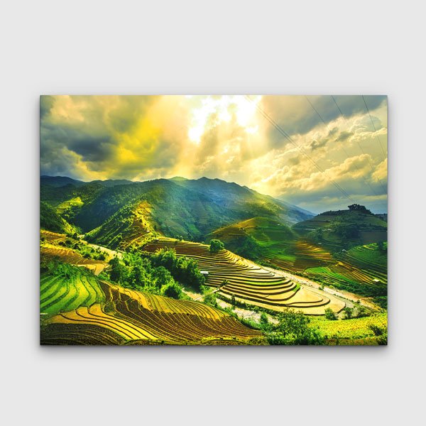 Altın Teraslı Pirinç Tarlaları Kanvas Tablo 13339