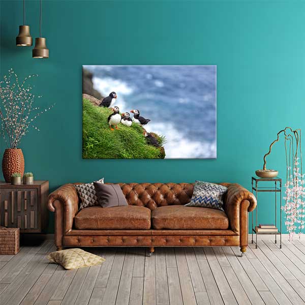 Deniz Kenarı Puffin Kuşları Doğa Manzarası Kanvas Tablo 13472