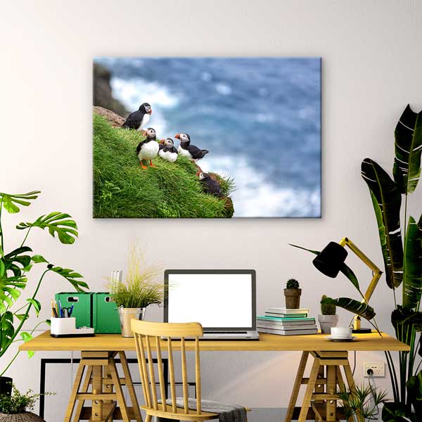 Deniz Kenarı Puffin Kuşları Doğa Manzarası Kanvas Tablo 13472