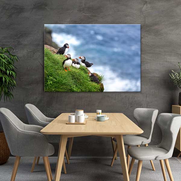 Deniz Kenarı Puffin Kuşları Doğa Manzarası Kanvas Tablo 13472