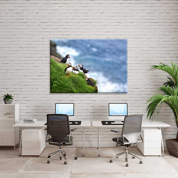 Deniz Kenarı Puffin Kuşları Doğa Manzarası Kanvas Tablo 13472