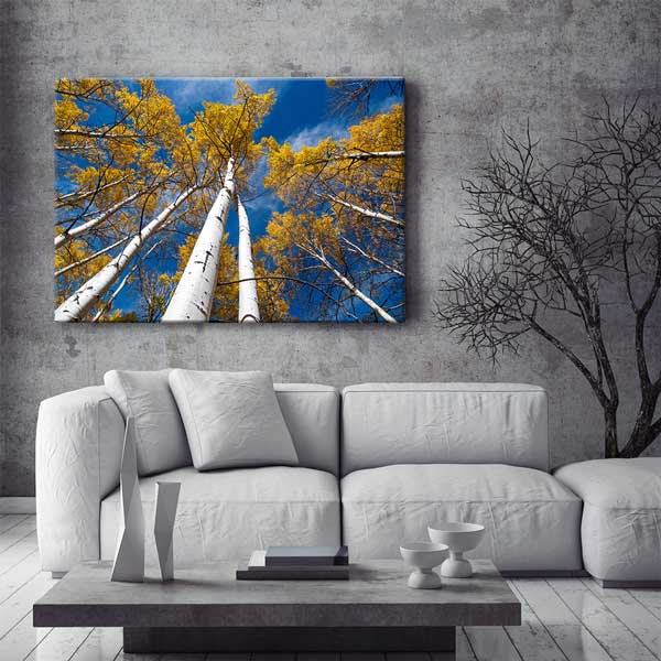 Sonbahar Huş Ağaçları ve Mavi Gökyüzü Manzarası Kanvas Tablo 13590