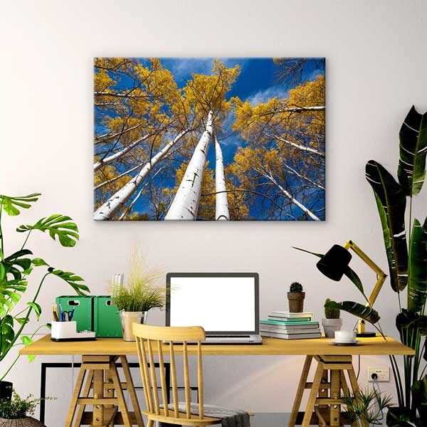 Sonbahar Huş Ağaçları ve Mavi Gökyüzü Manzarası Kanvas Tablo 13590