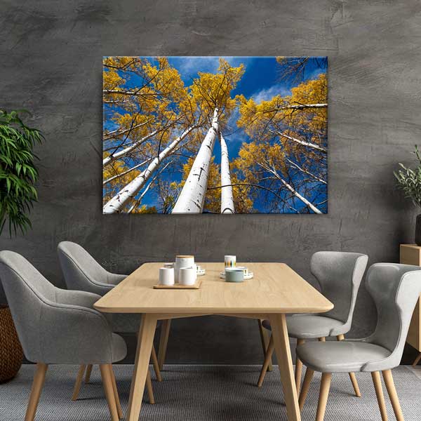 Sonbahar Huş Ağaçları ve Mavi Gökyüzü Manzarası Kanvas Tablo 13590